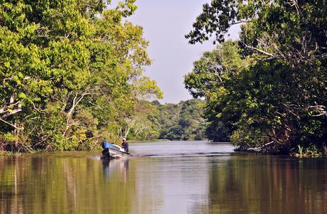 ▷ 5 regiones más bellas de Brasil north ▷ 5 regiones más bellas de Brasil