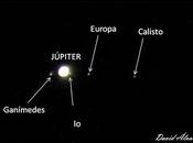 «Nunca discutas idiota, hará descender nivel allí vencerá experiencia»