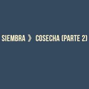 SIEMBRA 》COSECHA (PARTE 2)