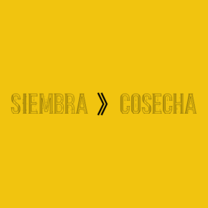 SIEMBRA 》COSECHA