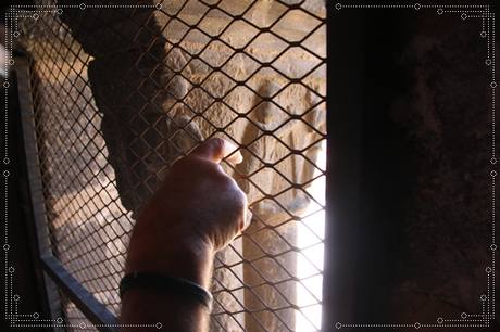 Edén en Ágreda (y II)