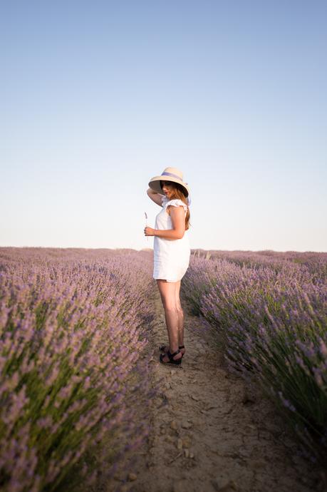 Tiedra de lavanda