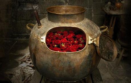 alambique destilando esencia de rosas.
