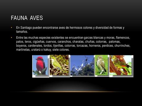 La flora y fauna de Santiago del Estero queda representada por especies como el mistol del monte, atamisqui, cai y mirikina, entre otros.