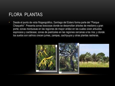 La flora y fauna de Santiago del Estero queda representada por especies como el mistol del monte, atamisqui, cai y mirikina, entre otros.
