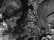 arqueología Parque Nacional Alta Murgia, signos historia emergen desde metro