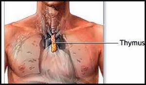 Demonios Internos: Depresión