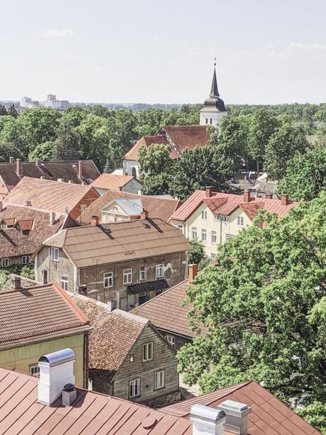 MVIMG_20190728_132110-min-768x1024 ▷ Consejos para visitar Viljandi, Estonia