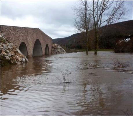 El medio más seguro de impedir las revoluciones es evitar las causas