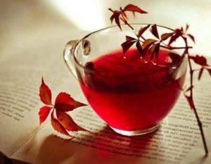 EL TÉ Y SUS SECRETOS EL TÉ Y SUS SECRETOS