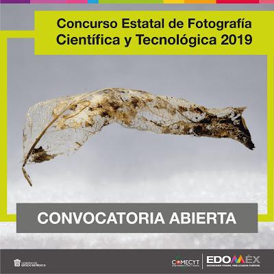 ABRE COMECYT CONVOCATORIA DEL CONCURSO DE FOTOGRAFÍA CIENTÍFICA Y TECNOLÓGICA