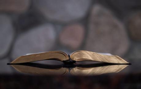 La Biblia en carne propia