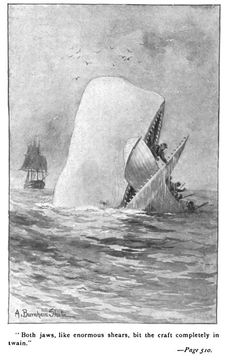 Las matemáticas de Moby Dick