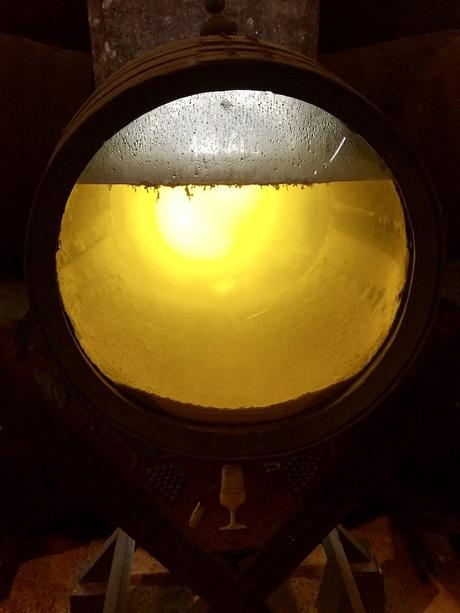 Visita a la Bodega Lustau, la bodega del Marco de Jerez con más premios de toda España velo de flor vino jerez