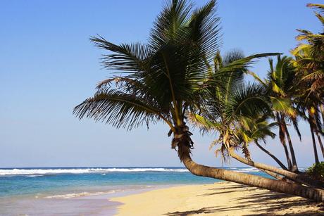 Hoteles, algas y problemas añadidos a un retroceso social que debe revisarse sin falta en Bávaro-Punta Cana (Rep. Dominicana)