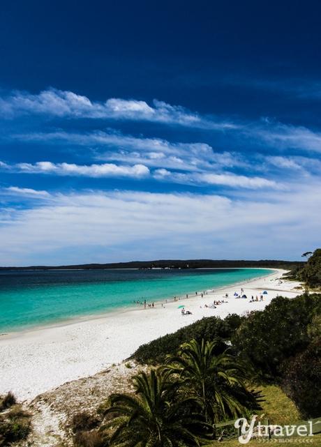 Hyams-Beach-Jervis-Bay-17 ▷ Comente sobre los 14 mejores viajes por carretera en Australia por los 10 viajes por carretera más importantes en Australia - Australia sin envolver