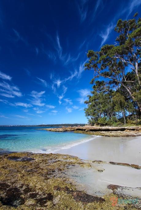 Booderee-National-Park-Jervis-bay-8 ▷ Comente sobre los 14 mejores viajes por carretera en Australia por los 10 viajes por carretera más importantes en Australia - Australia sin envolver