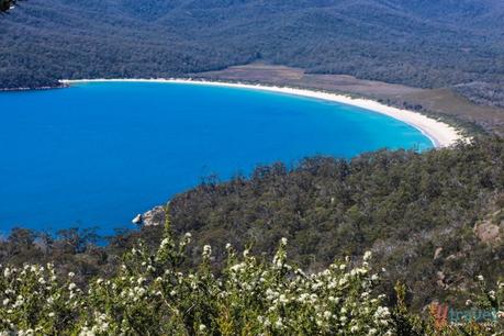 Wineglass-bay-tasmania-37 ▷ Comente sobre los 14 mejores viajes por carretera en Australia por los 10 viajes por carretera más importantes en Australia - Australia sin envolver