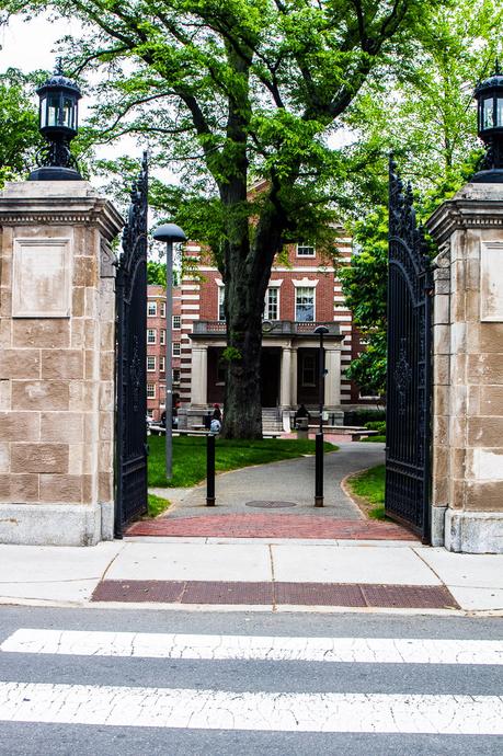harvard-university-tours ▷ Comente sobre el interesante recorrido por la Universidad de Harvard: abriendo los ojos de mis hijas a las posibilidades de las 5 mejores visitas a los campus de la universidad, la mejor guía de viajes a la universidad