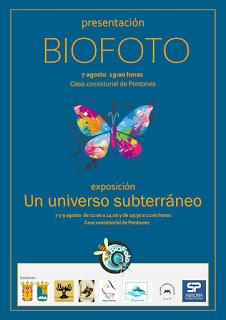 Un universo subterráneo