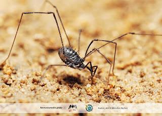 Un universo subterráneo