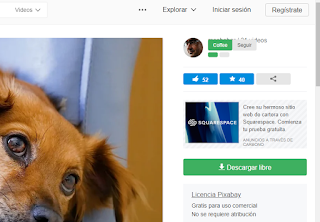 Encuentra videos sin problemas de copyright