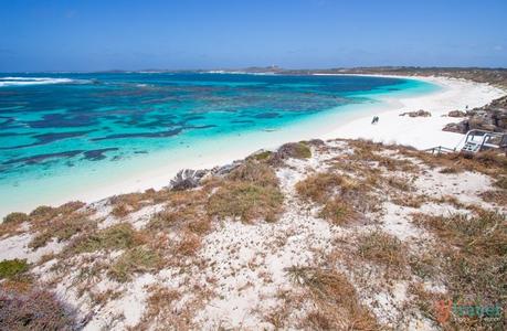 Rottnest-Island-Western-Australia-73 ▷ Comente en 38 de las mejores playas de Australia que pisarán las 10 mejores bahías de Australia para relajarse en 2020 - Australia sin envolver