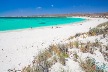 IMG_7611 ▷ Comente en 38 de las mejores playas de Australia que pisarán las 10 mejores bahías de Australia para relajarse en 2020 - Australia sin envolver
