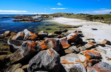 Bay-of-Fires-Tasmania-9 ▷ Comente en 38 de las mejores playas de Australia que pisarán las 10 mejores bahías de Australia para relajarse en 2020 - Australia sin envolver
