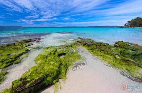 White-sands-Walk-Jervis-Bay-56 ▷ Comente en 38 de las mejores playas de Australia que pisarán las 10 mejores bahías de Australia para relajarse en 2020 - Australia sin envolver