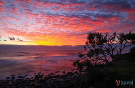 IMG_6856 ▷ Comente en 38 de las mejores playas de Australia que pisarán las 10 mejores bahías de Australia para relajarse en 2020 - Australia sin envolver