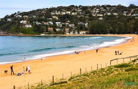 Palm-Beach-Sydney-1-710x4601 ▷ Comente en 38 de las mejores playas de Australia que pisarán las 10 mejores bahías de Australia para relajarse en 2020 - Australia sin envolver