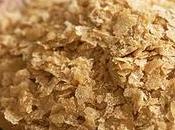 Levadura cerveza, propiedades beneficios, cómo tomarla precauciones