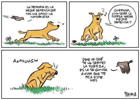 [SONRÍA, POR FAVOR] Al menos hoy lunes, 5 de agosto