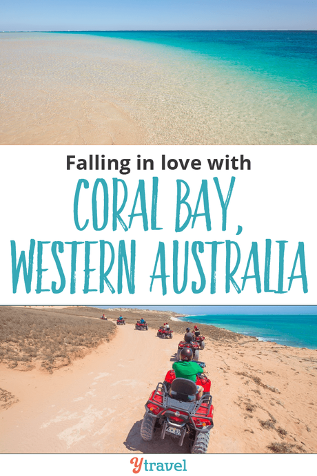▷ Comenta sobre Enamórate de Coral Bay, Australia Occidental por Top 10 Bays en Australia para relajarte en 2020 – Australia sin envolver 204857_CoralBay-Pin2_61118 ▷ Comenta sobre Enamórate de Coral Bay, Australia Occidental por Top 10 Bays en Australia para relajarte en 2020 - Australia sin envolver