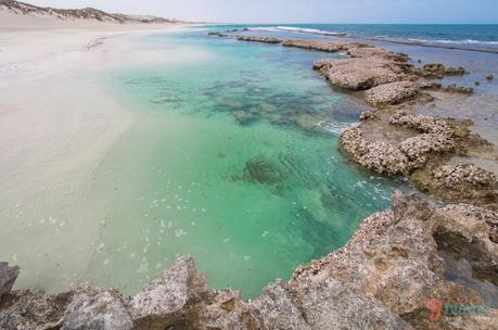 ▷ Comenta sobre Enamórate de Coral Bay, Australia Occidental por Top 10 Bays en Australia para relajarte en 2020 – Australia sin envolver IMG_8027 ▷ Comenta sobre Enamórate de Coral Bay, Australia Occidental por Top 10 Bays en Australia para relajarte en 2020 - Australia sin envolver