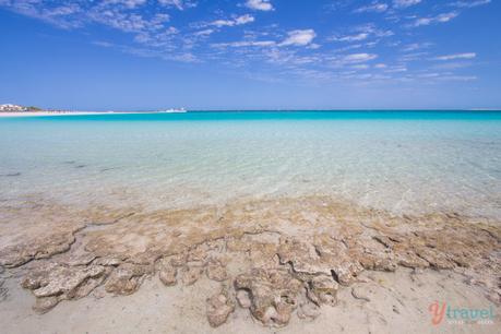 IMG_8085 ▷ Comenta sobre Enamórate de Coral Bay, Australia Occidental por Top 10 Bays en Australia para relajarte en 2020 - Australia sin envolver