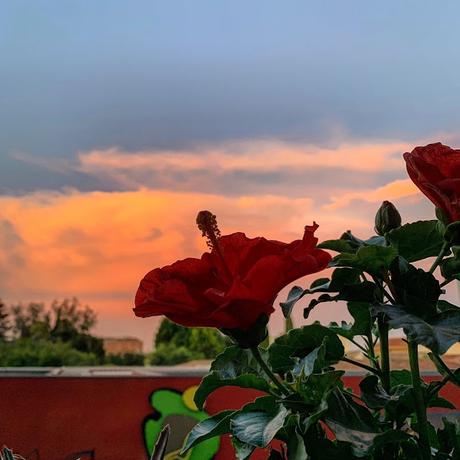 La cantidad de presente La cantidad de presente