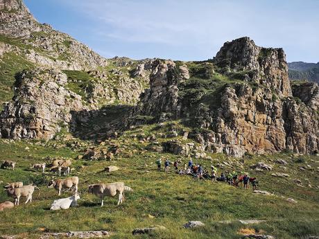 BISAURÍN DESDE LIZARA