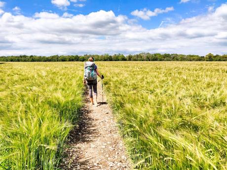 Girl-on-the-South-Downs-Way.jpg.optimal ▷ Julio de 2019: resumen de viaje y estadísticas