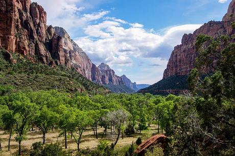 best-campgrounds-zion-national-park ▷ Camping en el Parque Nacional Zion: todo lo que necesitas saber