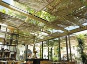 Atmósferas Mordisco abre Roca Village