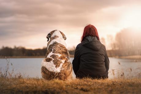 3 cosas que los perros pueden percibir en los humanos