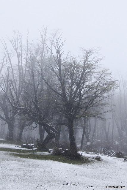Nieve primaveral en el cerro Chapelco Nieve primaveral en el cerro Chapelco