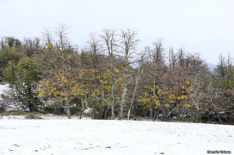 Nieve primaveral en el cerro Chapelco Nieve primaveral en el cerro Chapelco