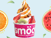 smöoy desvela mitos convertidos realidad helado yogur
