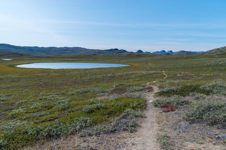 ▷ Trekking the Arctic Circle Trail: un sueño se convierte en humo trekking-the-arctic-circle-trail-12 ▷ Trekking the Arctic Circle Trail: un sueño se convierte en humo