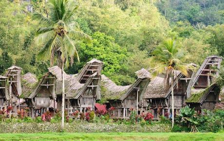 sulawesi ▷ 8 regiones más bellas de Indonesia