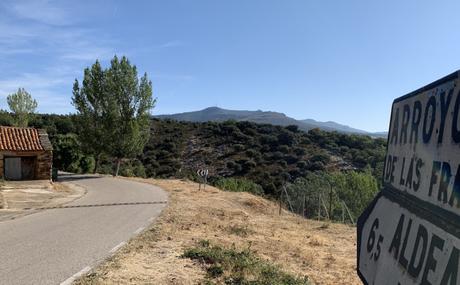 ¿A quién le interesa la verdad?