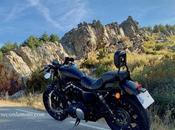 quién interesa verdad?